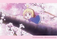 ポストカード春セット