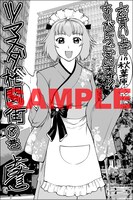 秋葉原地区特典