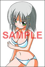 アニメイトの「畑健二郎初期作品集　ハヤテのごとく！の前」購入特典。