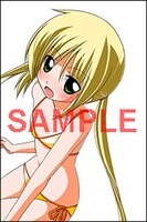 ゲーマーズの「ハヤテのごとく！」25巻購入特典。