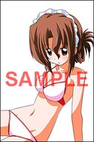 ゲーマーズの「畑健二郎初期作品集　ハヤテのごとく！の前」購入特典。