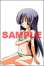 とらのあなの「畑健二郎初期作品集　ハヤテのごとく！の前」購入特典。