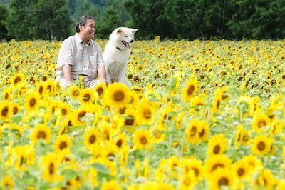 北海道名寄市の「星守る犬」ロケ現場から届いた写真。主演の西田敏行と、犬のハッピーを演じる2歳の秋田犬（オス）。