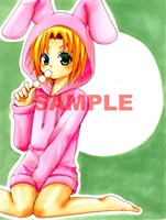 とらのあな特典のペーパー。