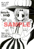 ゲーマーズ特典のペーパー。