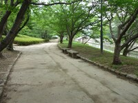 酒津公園