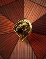 「LUCKY LAND COMMUNICATIONS Brooch」Gold (gold-plated)(C)LUCKY LAND COMMUNICATIONS / SHUEISHA