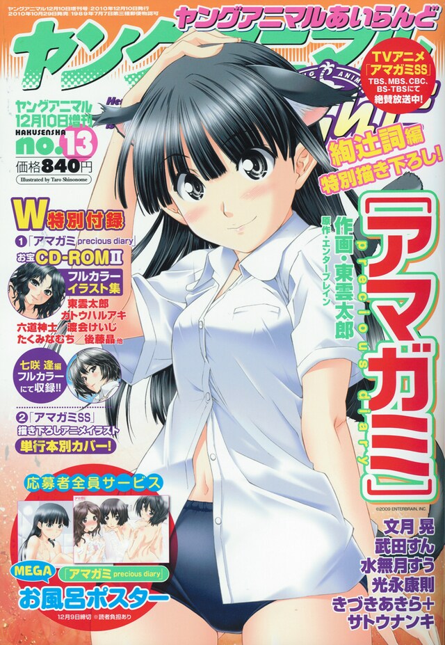 ヤングアニマルあいらんど13号