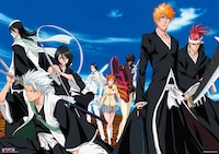 B賞「特大ポスター」(C)久保帯人／集英社・テレビ東京・dentsu・ぴえろ(C)劇場版BLEACH製作委員会 2010