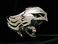 「グリフィスリング」側面。