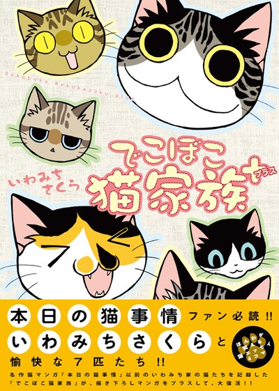 新装版「でこぼこ猫家族＋」