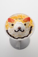 七番隊　隊長ふわふわ狛村かき氷わん　(C)久保帯人／集英社・テレビ東京・dentsu・ぴえろ　(C)劇場版BLEACH製作委員会 2010