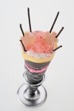 千本桜景厳　(C)久保帯人／集英社・テレビ東京・dentsu・ぴえろ　(C)劇場版BLEACH製作委員会 2010