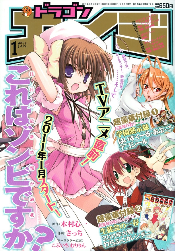 月刊ドラゴンエイジ2011年1月号