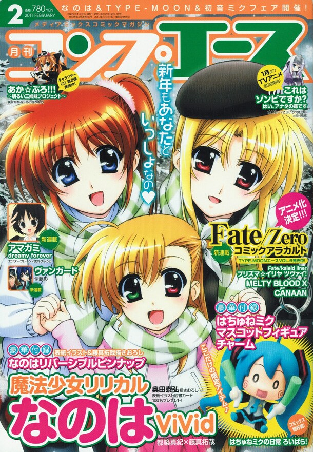 月刊コンプエース2011年2月号