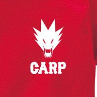 「段野 Tシャツ」レッドのフロントをアップで。