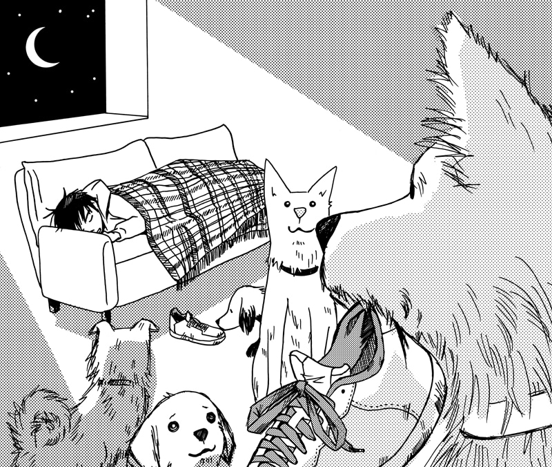 衿沢世衣子「犬部！」予告カット。