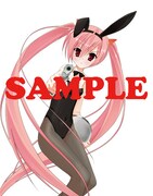 今号に付属している「緋弾のアリア」クリアファイル。