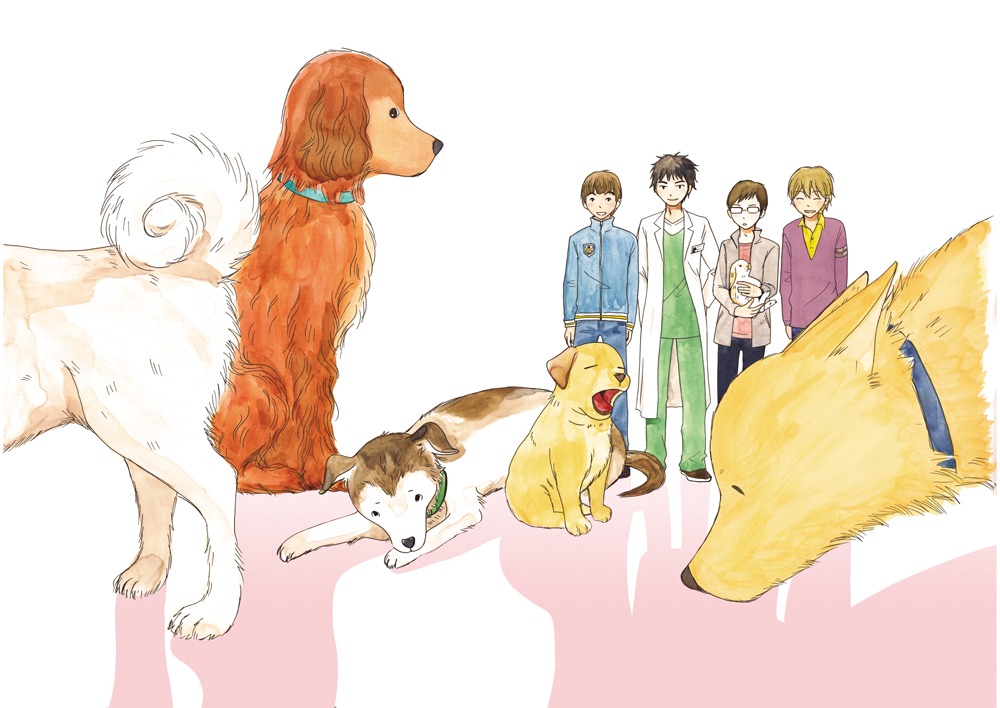 片野ゆか原作による衿沢世衣子の新連載「犬部！」扉イラスト。