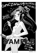 COMIC ZIN特典のペーパー。