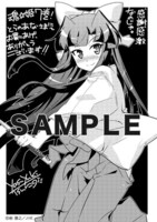 とらのあな特典のペーパー。