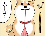 みずしな孝之が愛らしい犬描く「いとしのムーコ」連載開始