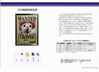 「チョッパー宝石画」に付属する宝石鑑別書。