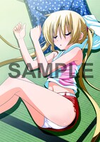 「ハヤテのごとく！」28巻限定版特典のナギ生写真。