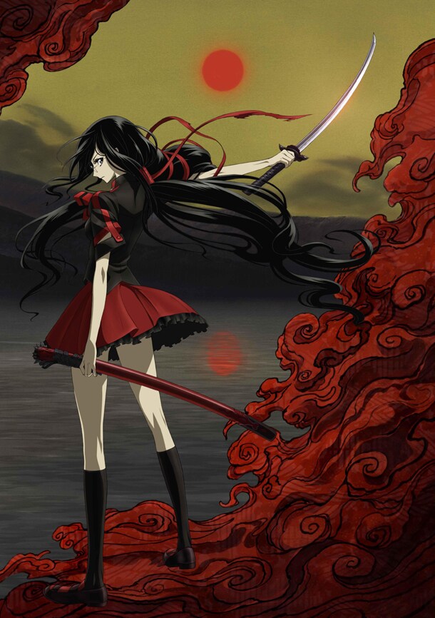 更衣小夜の全身。(C)2011 Production I.G, CLAMP／Project BLOOD-C TV