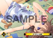 ぎん太のカード。(C)産経新聞社/ぎん太