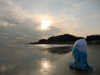 夕暮れ時に、黄昏るイカ娘を演出することも可能。(C)安部真弘（週刊少年チャンピオン）／海の家れもん