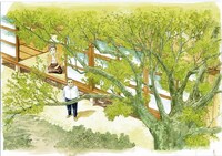 谷口ジローによるイラスト「欅の木」(C)谷口ジロー/小学館