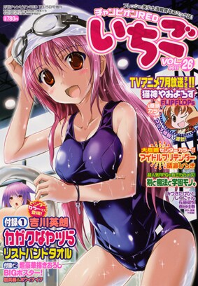 チャンピオンREDいちご26号