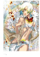 「碧風羽画集」より。