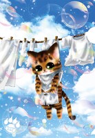 付録のクリアファイル。