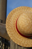 「ルフィの麦わら～海賊の高みへ～」イメージ画像。(C)尾田栄一郎／集英社・フジテレビ・東映アニメーション