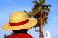 「ルフィの麦わら～海賊の高みへ～」イメージ画像。(C)尾田栄一郎／集英社・フジテレビ・東映アニメーション