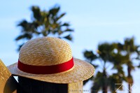 「ルフィの麦わら～海賊の高みへ～」イメージ画像。(C)尾田栄一郎／集英社・フジテレビ・東映アニメーション