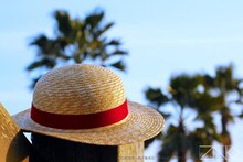 「ルフィの麦わら～海賊の高みへ～」イメージ画像。(C)尾田栄一郎／集英社・フジテレビ・東映アニメーション