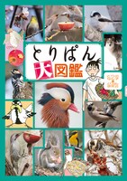 「とりぱん大図鑑」表紙