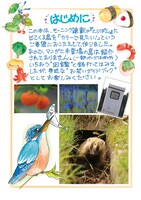 「とりぱん大図鑑」の1ページ。