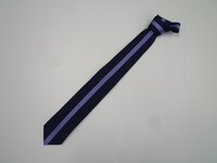 「桜蘭高校ホスト部」ネクタイ