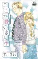 宮川匡代「ここが愛のまん中」1巻