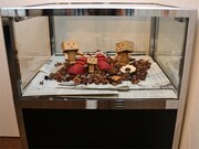 ガラスの台に入れられたダンボーの模型。