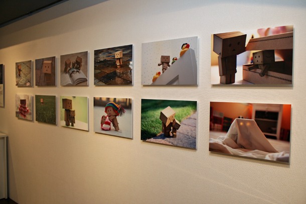 ダンボー写真集から抜粋された写真のパネル。