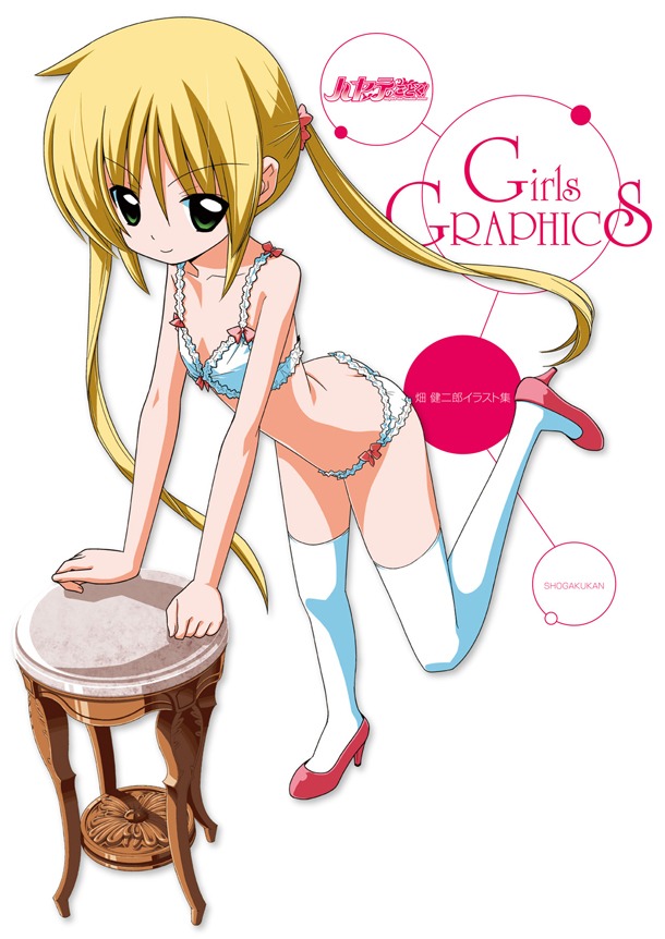 「ハヤテのごとく！GirlsGRAPHICS　畑健二郎イラスト集」通常版