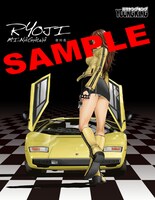 皆川亮二描き下ろしピンナップポスター。