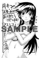 全28枚のメッセージペーパー。