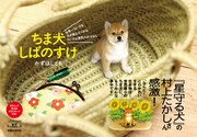 かずはしとも「ちま犬しばのすけ」刊行記念イベント開催
