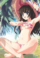 「電撃大王ポスターコレクション2011夏」に入る1枚。